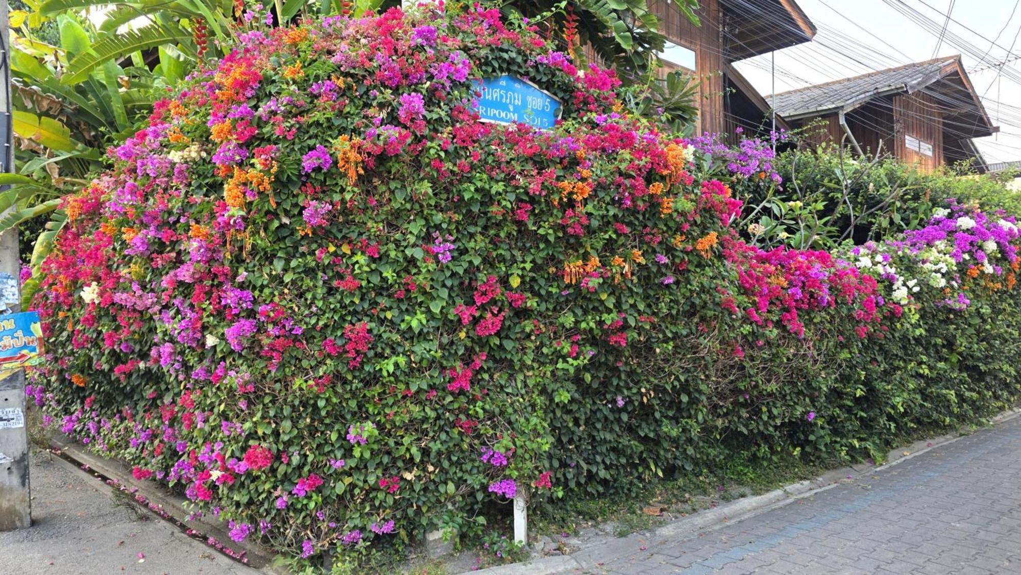 Siriwan Hostel Chiang Mai Exteriör bild